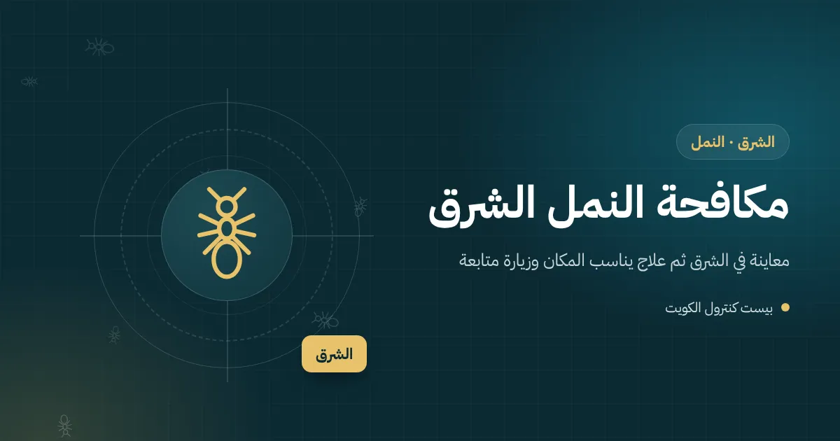 رسم توضيحي لطابور نمل يتجه نحو علبة سكر في غرفة استراحة مكتب بمنطقة الشرق