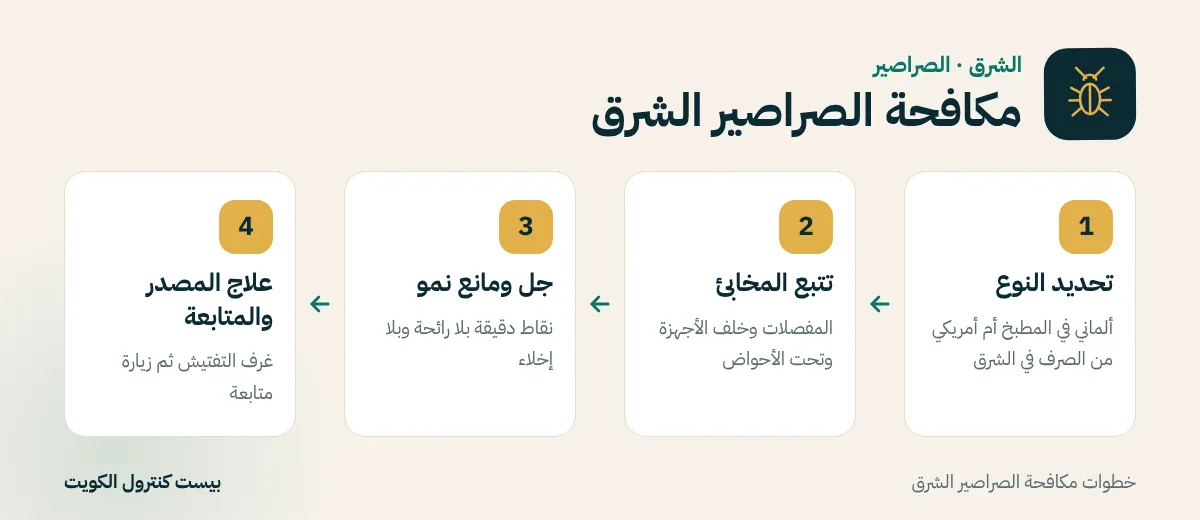خطوات مكافحة الصراصير الشرق