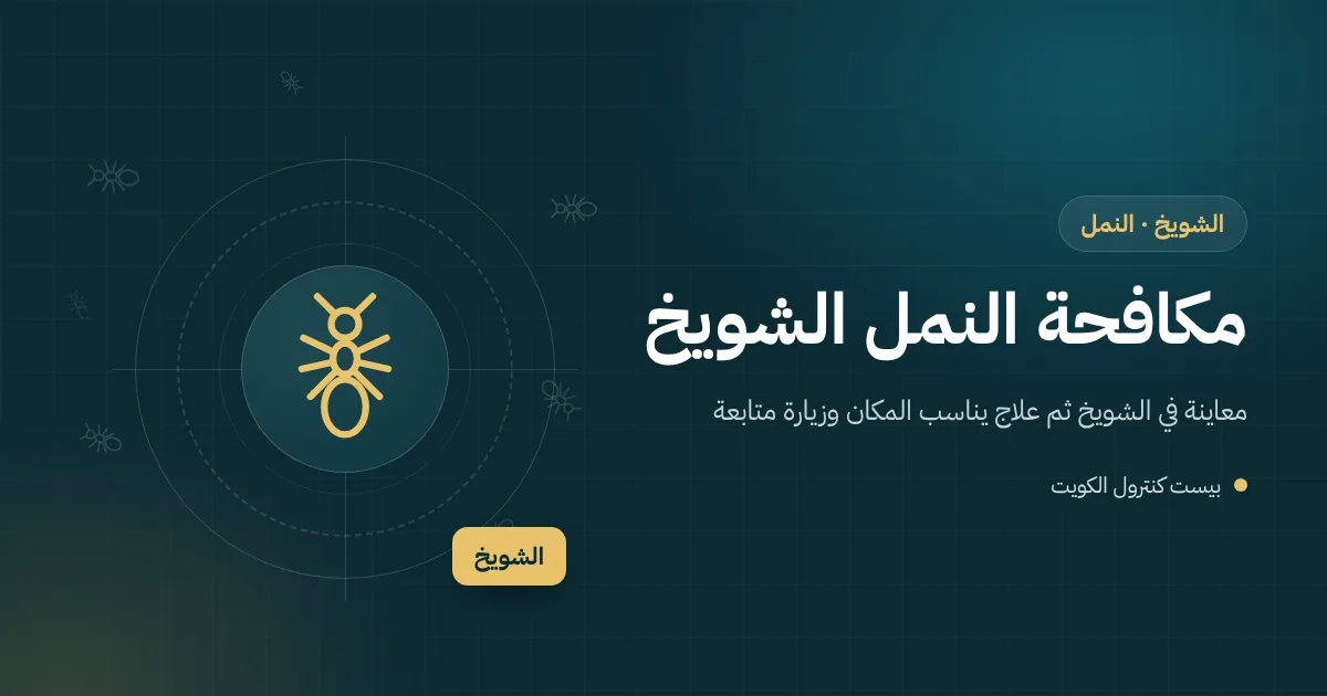 رسم توضيحي لمنصة خشبية في مستودع بالشويخ عليها أنفاق طينية للنمل الأبيض