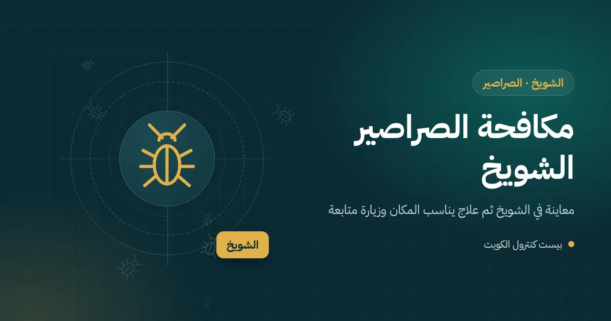 رسم توضيحي لكراتين على منصة في مستودع بالشويخ مع نقطة مراقبة للصراصير