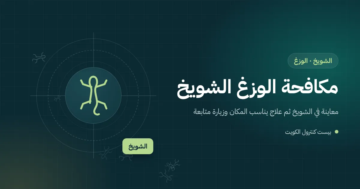 رسم توضيحي لواجهة معرض زجاجية مضاءة ليلًا في الشويخ مع وزغ قرب الإطار
