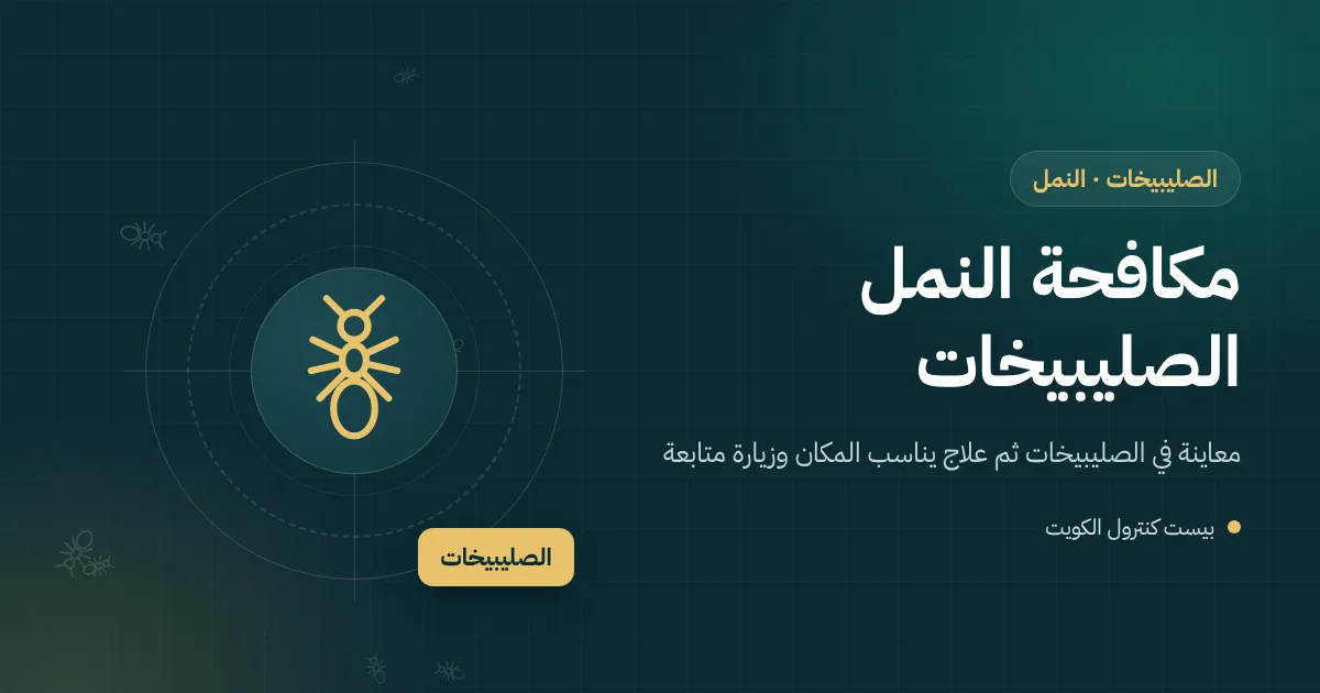 رسم توضيحي لبلاط متشابك في حوش بيت بالصليبيخات مع كومة رمل صغيرة وخط نمل