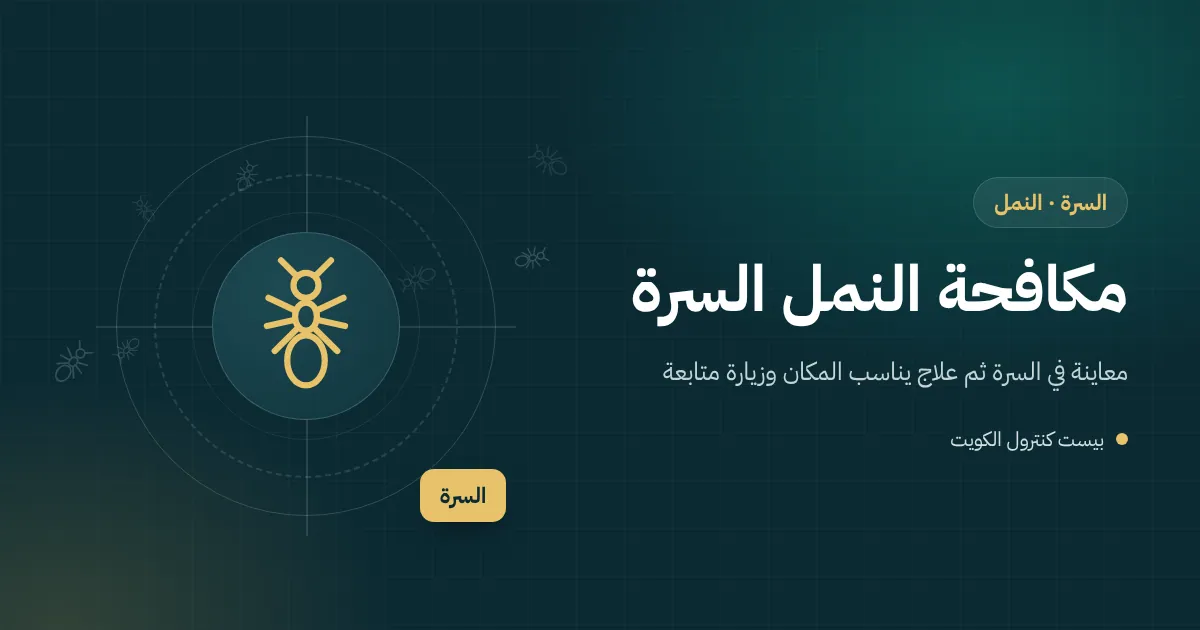 رسم توضيحي لطابور نمل يصعد إلى صينية حلويات في محل بالسرة وآخر يدخل مطبخ فيلا
