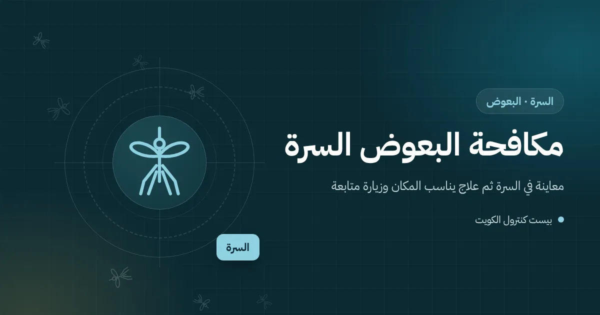 رسم توضيحي لجلسة خارجية لمقهى في السرة مع بركة ماء صغيرة تحت مكيف وبعوض يتجمع حولها