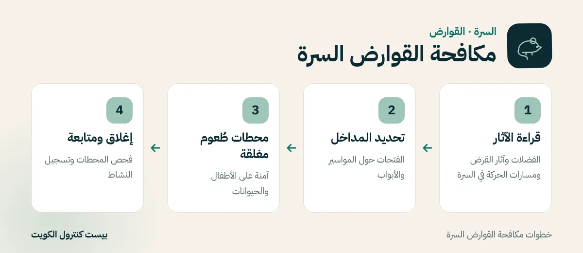 خطوات مكافحة القوارض السرة