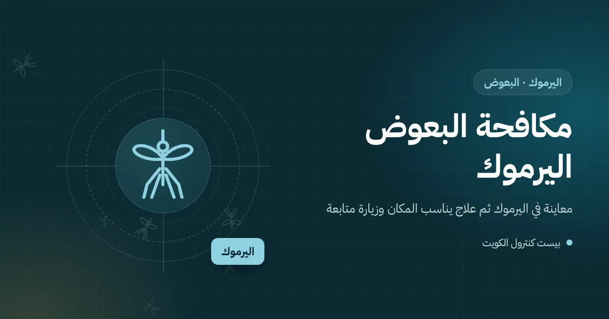 رسم توضيحي لسطح فيلا في اليرموك عليه خزان مياه ومزراب وبعوض فوق ماء راكد