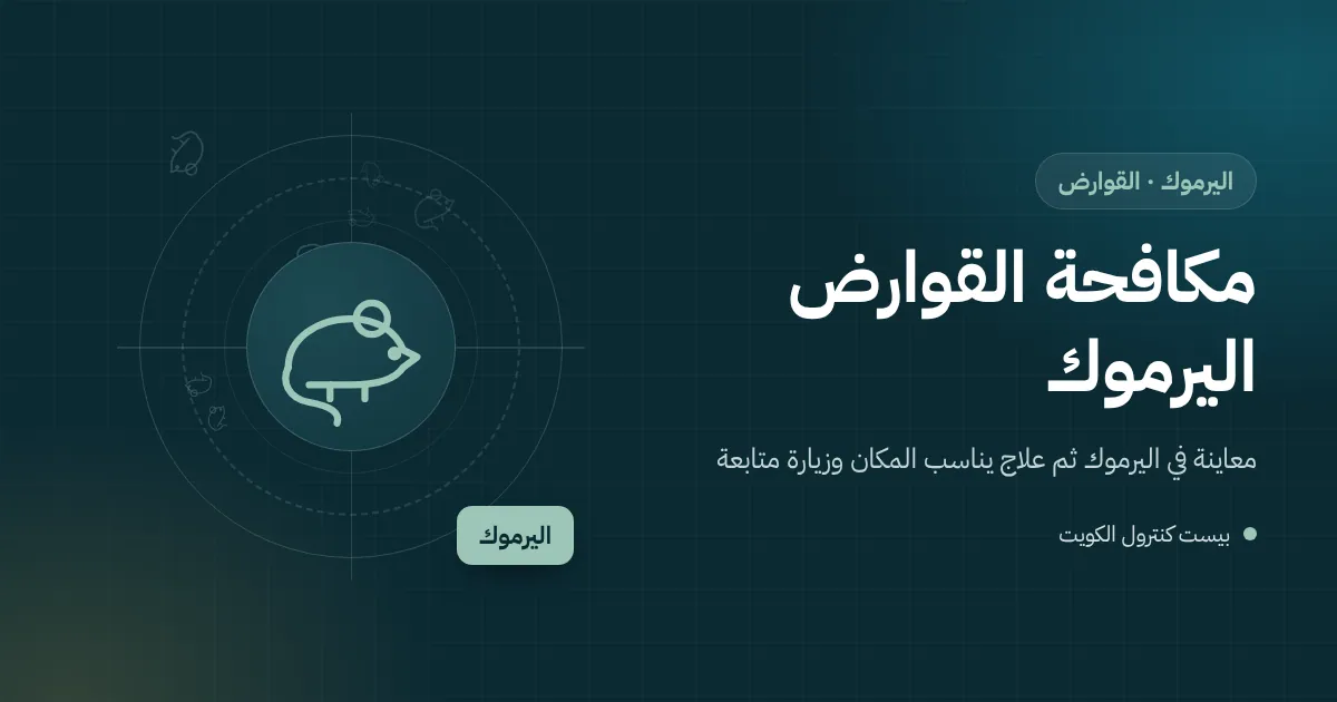 رسم توضيحي لسرداب فيلا في اليرموك تتكدس فيه الكراتين ومصيدة فئران قرب الجدار