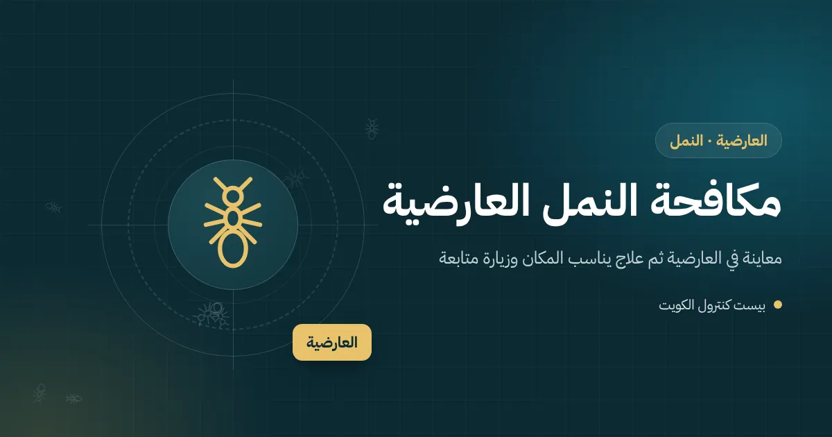 رسم توضيحي لأنفاق نمل أبيض طينية على إطار باب خشبي في حوش بيت بالعارضية