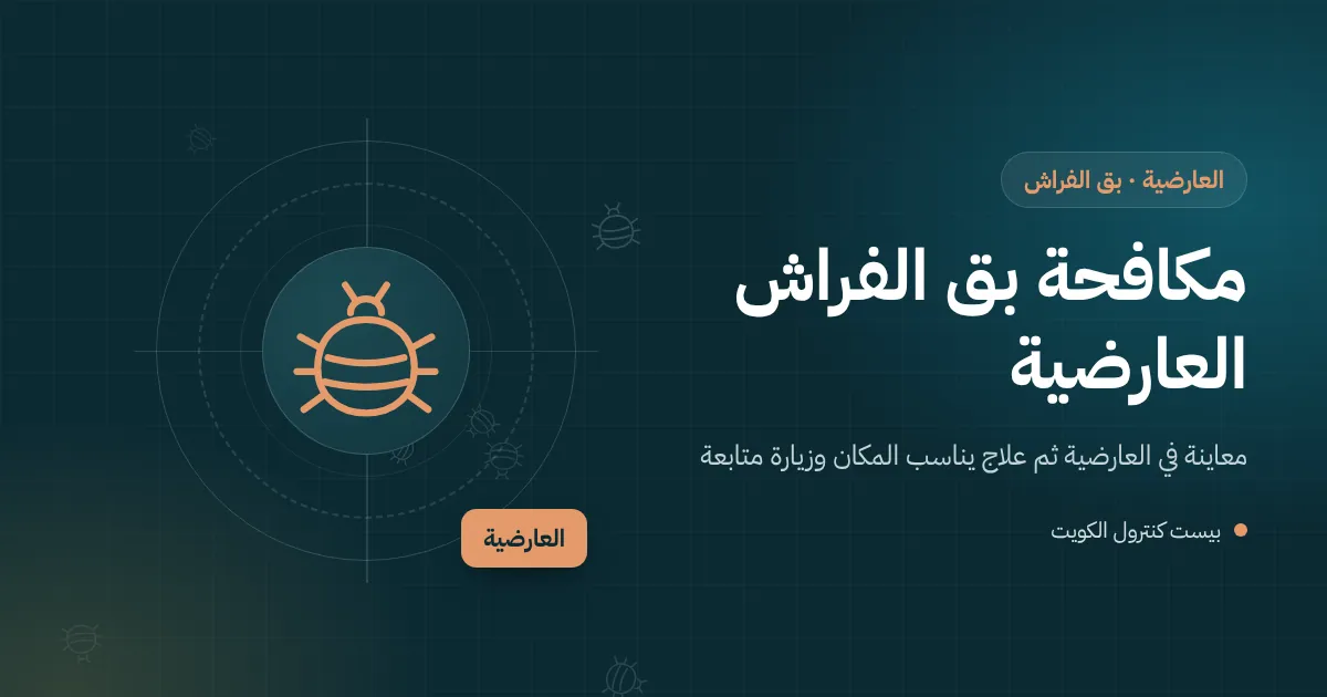 رسم توضيحي لفني يفحص مرتبة وجلسة مجلس في بيت بالعارضية بحثًا عن بق الفراش