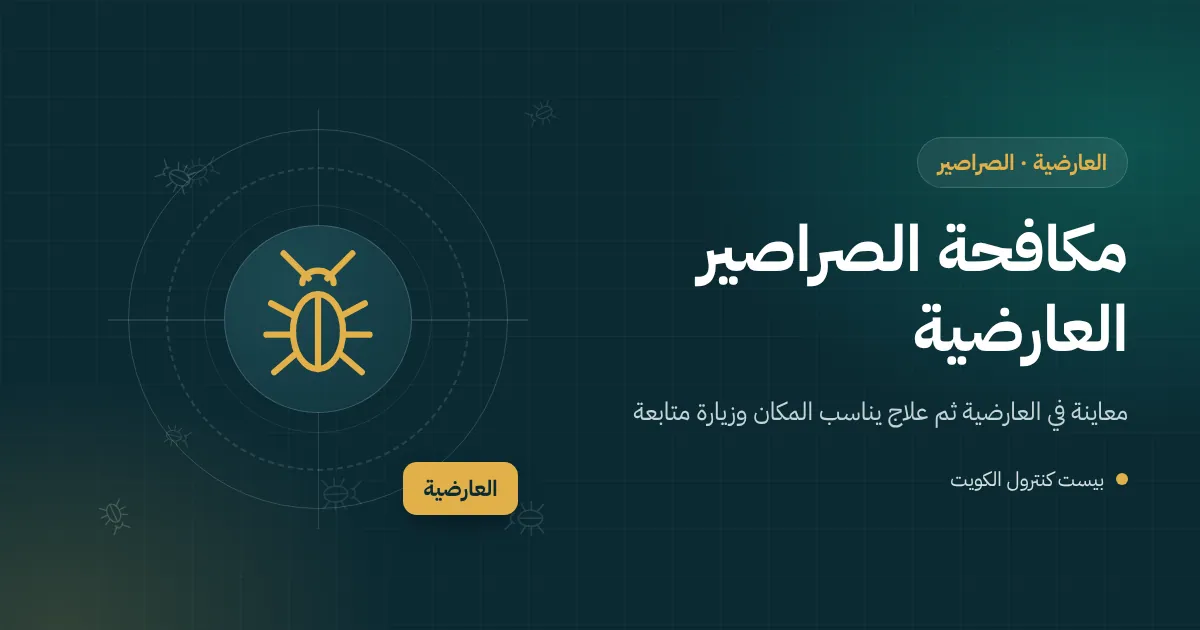 رسم توضيحي لصرصور أمريكي يخرج من غرفة تفتيش في حوش بيت بالعارضية