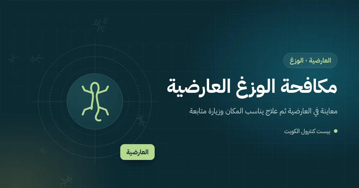 رسم توضيحي لوزغ قرب إنارة سور بيت في العارضية ليلًا