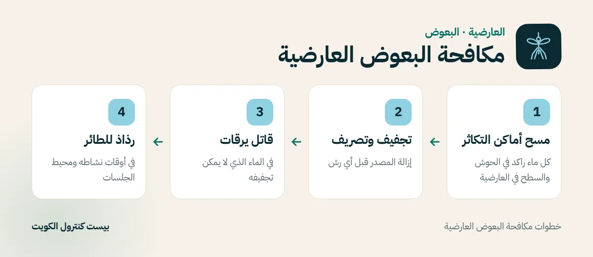 خطوات مكافحة البعوض العارضية