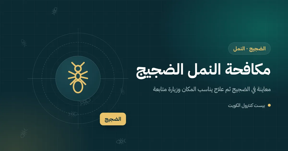 رسم توضيحي لخط نمل يصعد رفًا عليه أكياس سكر في مستودع بمنطقة الضجيج