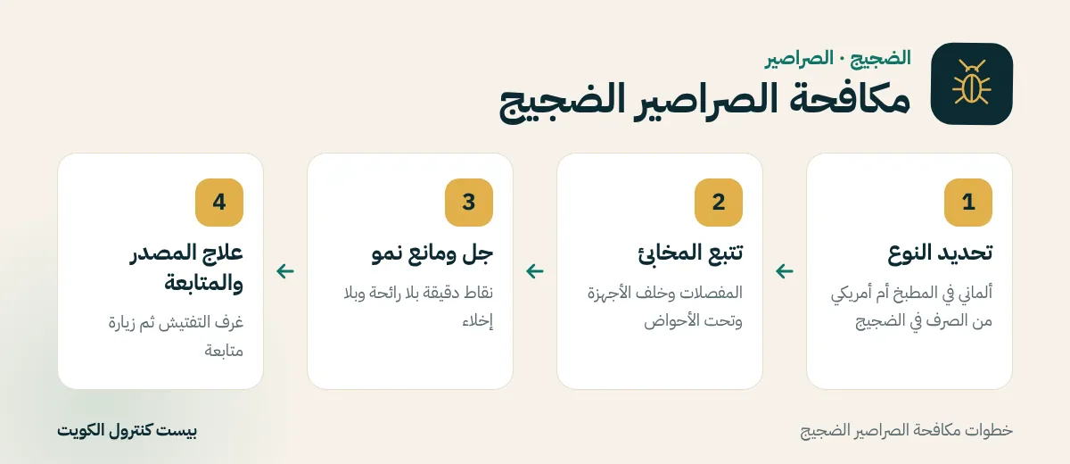 خطوات مكافحة الصراصير الضجيج