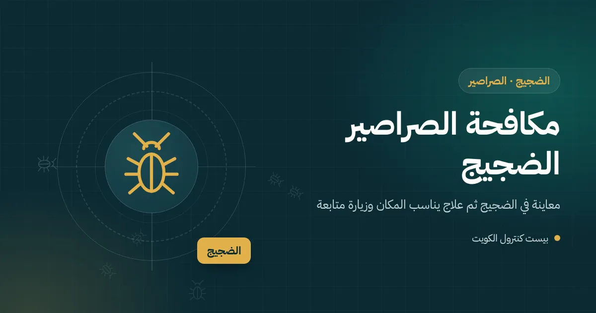 رسم توضيحي لصرصور يخرج من كرتونة شحن على رف مستودع في منطقة الضجيج