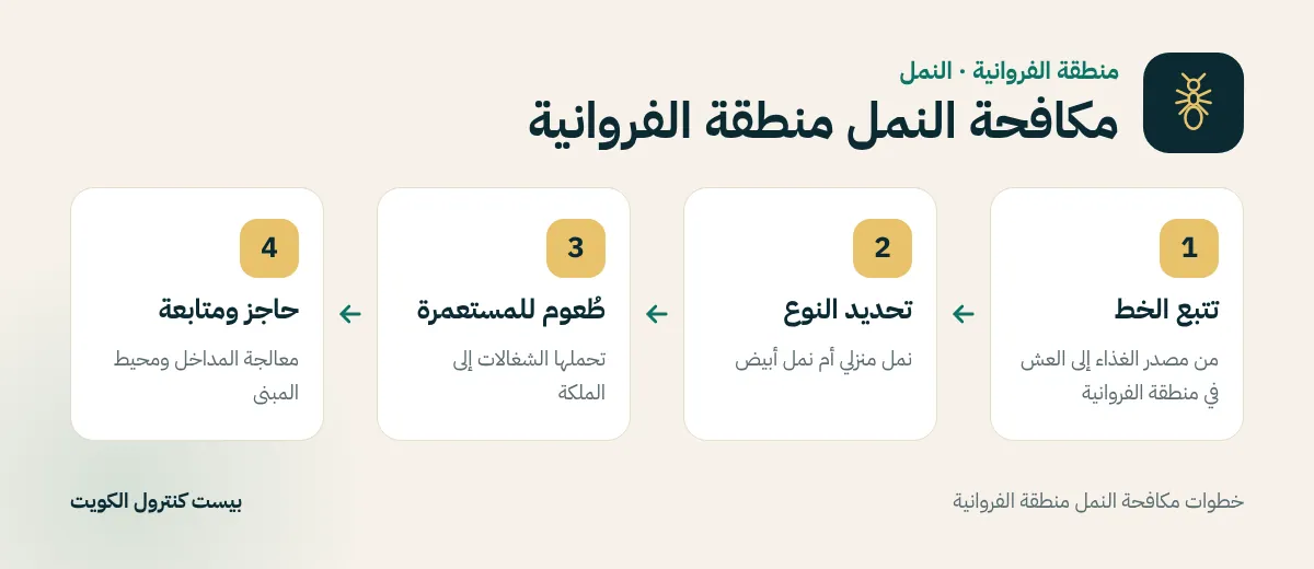 خطوات مكافحة النمل منطقة الفروانية