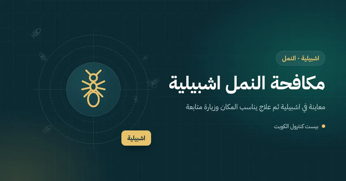 رسم توضيحي لخط نمل يمتد من حديقة بيت في اشبيلية عبر عتبة الباب إلى المطبخ