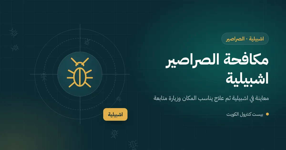 رسم توضيحي لسرداب بيت في اشبيلية فيه غسالة وسخان ماء وصراصير مختبئة خلفهما