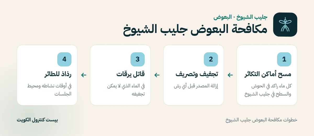 خطوات مكافحة البعوض جليب الشيوخ