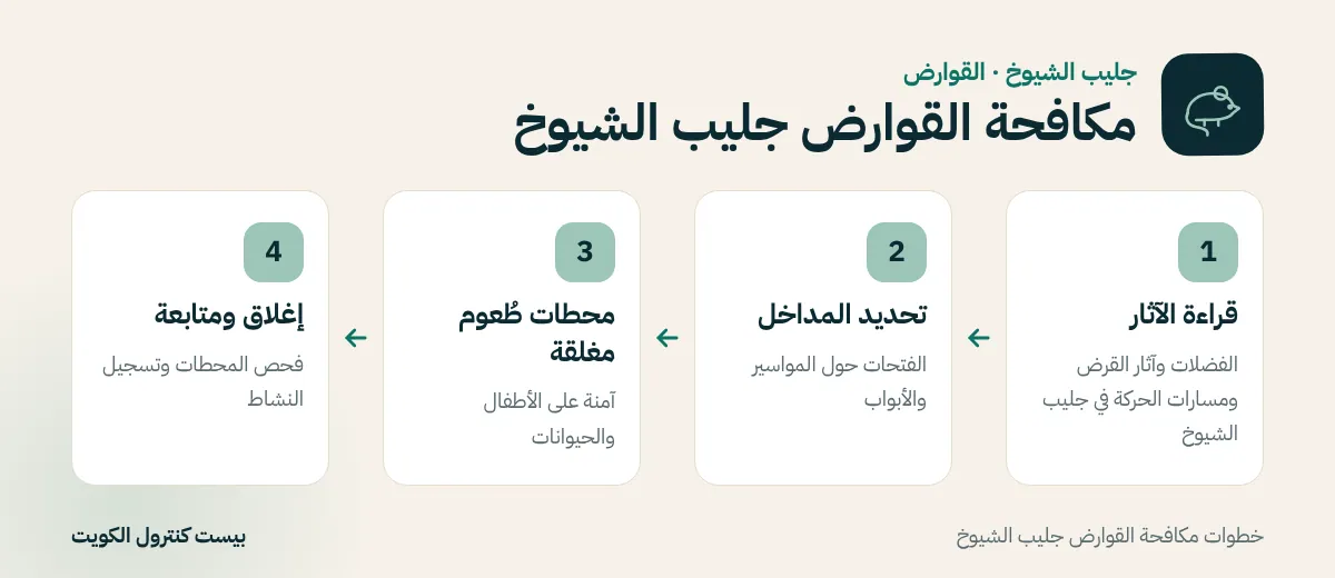 خطوات مكافحة القوارض جليب الشيوخ