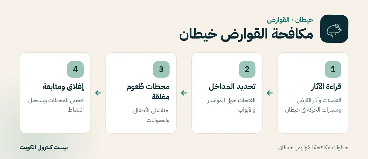 خطوات مكافحة القوارض خيطان
