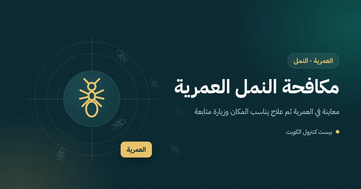 رسم توضيحي لمسار نمل يدخل من فاصل بلاط عند عتبة بيت جديد بحديقة حديثة في العمرية