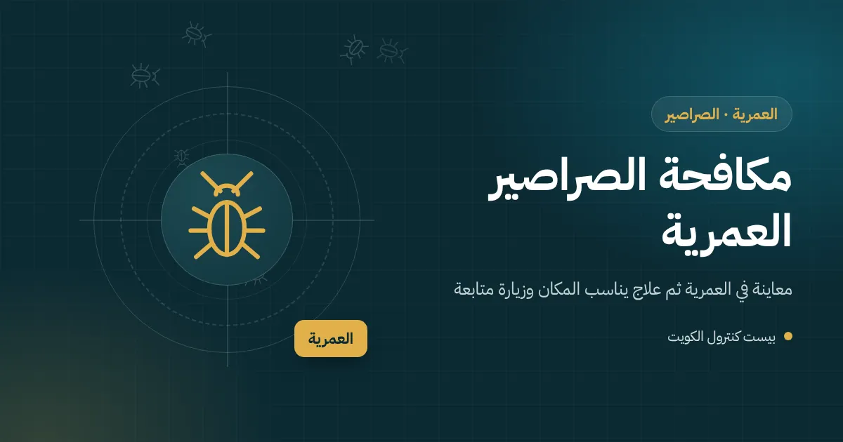 رسم توضيحي لصرصور يخرج من غرفة تفتيش قرب ورشة هدم بيت مجاور في منطقة العمرية