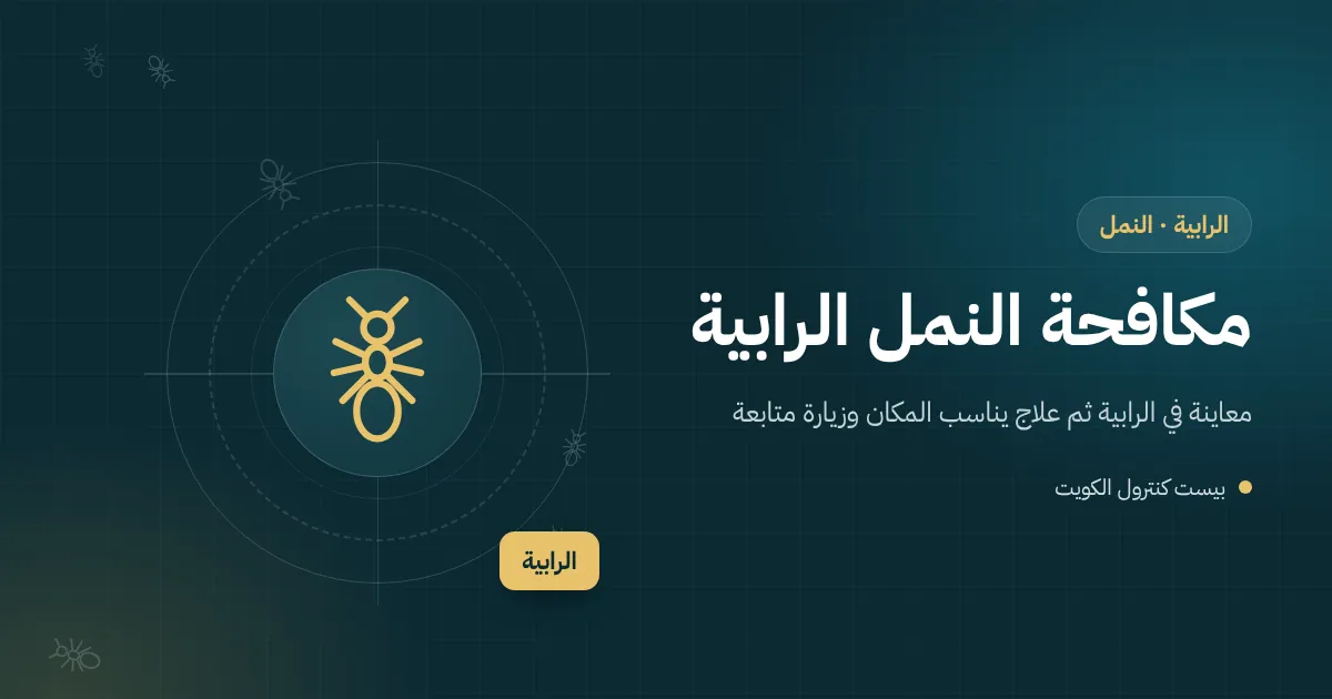 لوحة لخط نمل ينبثق من شرخ في بلاط عتيق وإطار باب خشبي في بيت بمنطقة الرابية