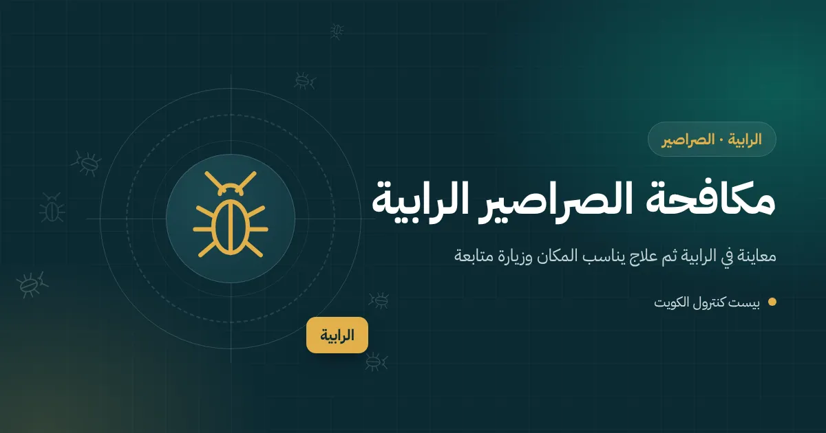 رسم توضيحي لصرصور قرب مصرف حمام وخزائن مطبخ في بيت قديم بمنطقة الرابية