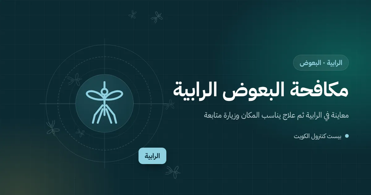 رسم توضيحي لغرفة تفتيش وأنبوب تصريف مكيف في حوش بيت بالرابية مع بعوض فوق الماء الراكد
