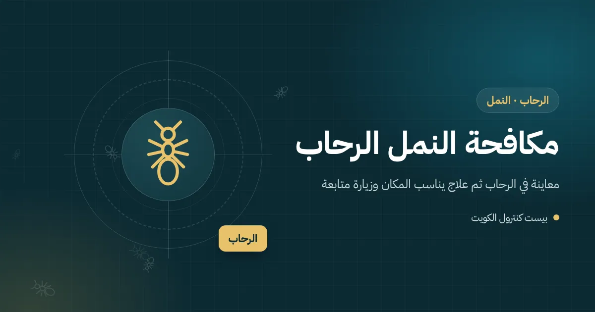 رسم توضيحي لخط نمل يتجه نحو مغسلة حمام وإطار باب خشبي يفحصه فني في الرحاب
