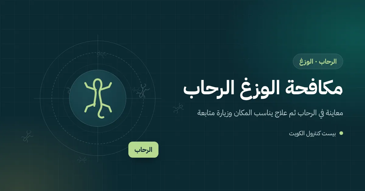 رسم توضيحي لوزغ قرب مصباح خارجي فوق باب بيت في الرحاب وحوله حشرات طائرة