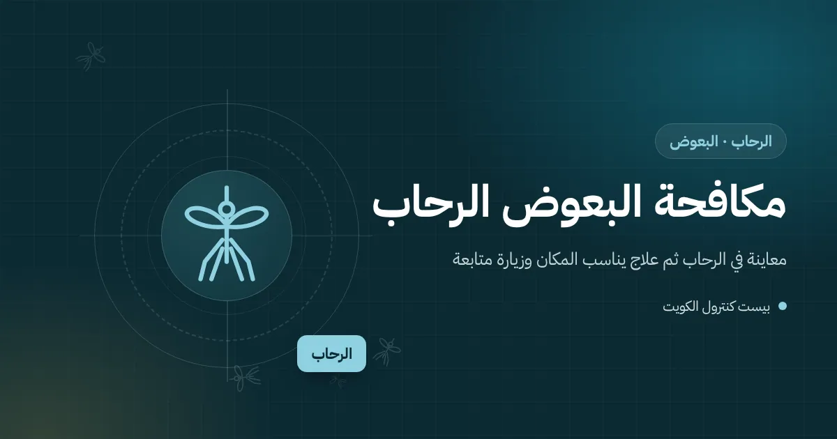 رسم توضيحي لسطح بيت في الرحاب فيه بركة ماء تحت خزان ومخرج مكيف يقطر