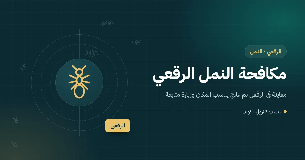 رسم لخط نمل أسود يعبر الفاصل بين أرضية ملحق وأرضية بيت في منطقة الرقعي