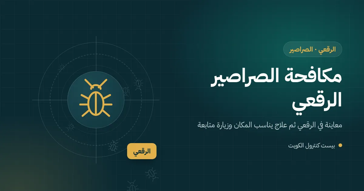 رسم توضيحي لبيت فيه أكثر من مطبخ وسرداب تتنقل بينها الصراصير عبر الأنابيب في الرقعي