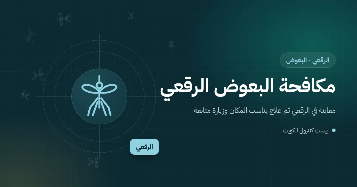 رسم توضيحي لعدة خزانات ماء على سطح بيت وسرداب رطب فيه مضخة في منطقة الرقعي