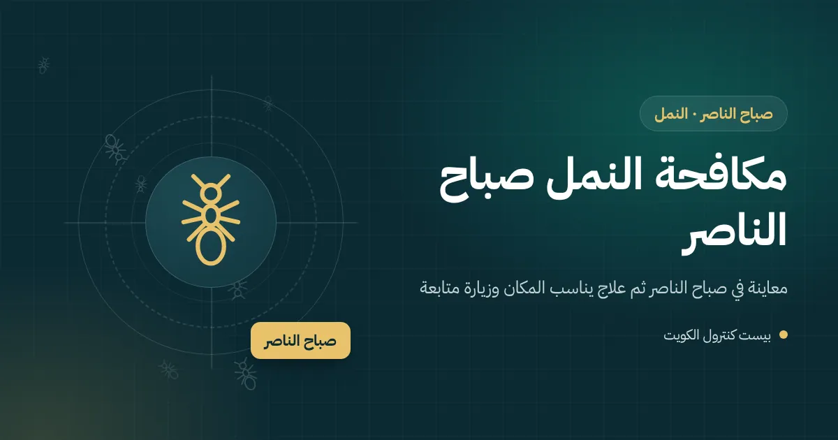 رسم توضيحي لمسار نمل يصعد داخل جدار مبنى في صباح الناصر من الحوش إلى مطبخ في دور علوي
