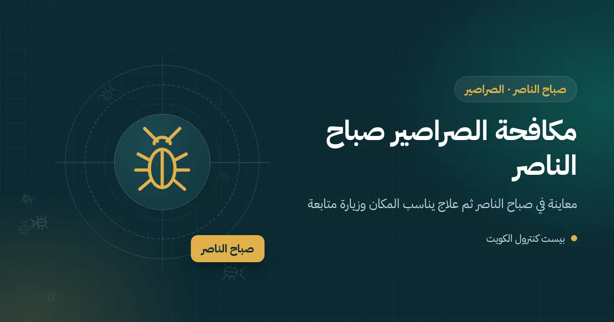 رسم توضيحي لمقطع بيت مقسم إلى أدوار في صباح الناصر مع ماسورة صرف مشتركة وصراصير تنتقل بين الشقق