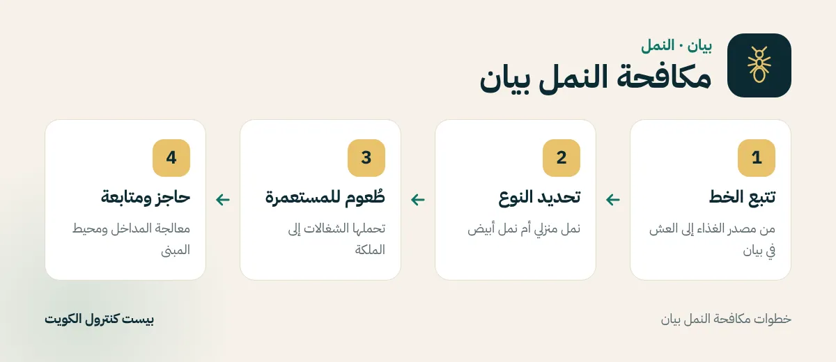 خطوات مكافحة النمل بيان