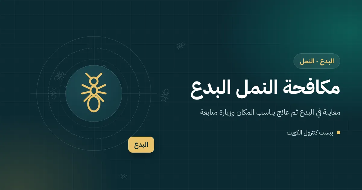 رسم توضيحي لخط نمل يعبر مجرى باب زجاجي منزلق على تراس مطل على البحر في البدع
