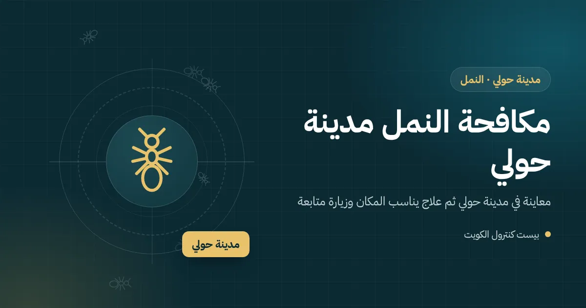 رسم توضيحي لخط نمل صغير على سطح مطبخ في شقة بمدينة حولي مع نقطة طعم