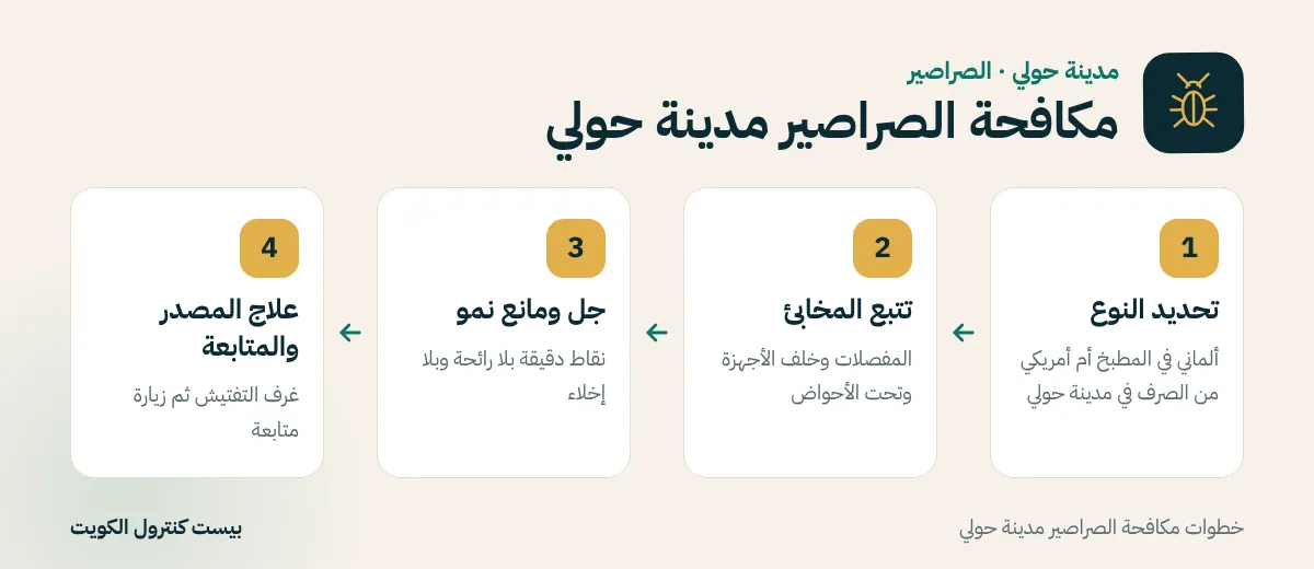 خطوات مكافحة الصراصير مدينة حولي