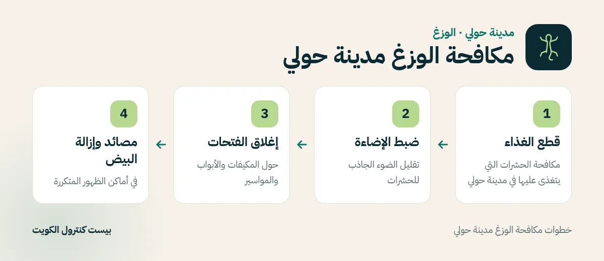 خطوات مكافحة الوزغ مدينة حولي