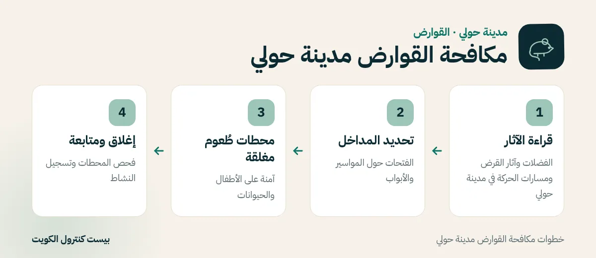 خطوات مكافحة القوارض مدينة حولي