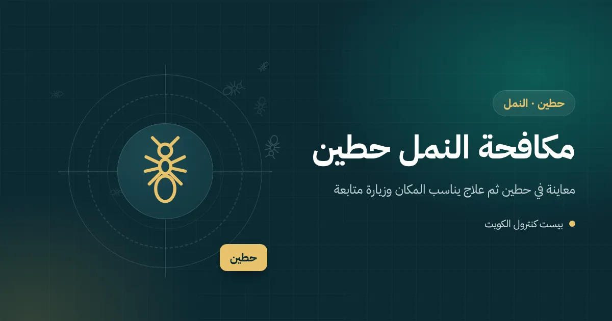 رسم توضيحي لمسار نمل يخرج من فاصل بلاط في فيلا جديدة بحطين وفني يضع طُعمًا