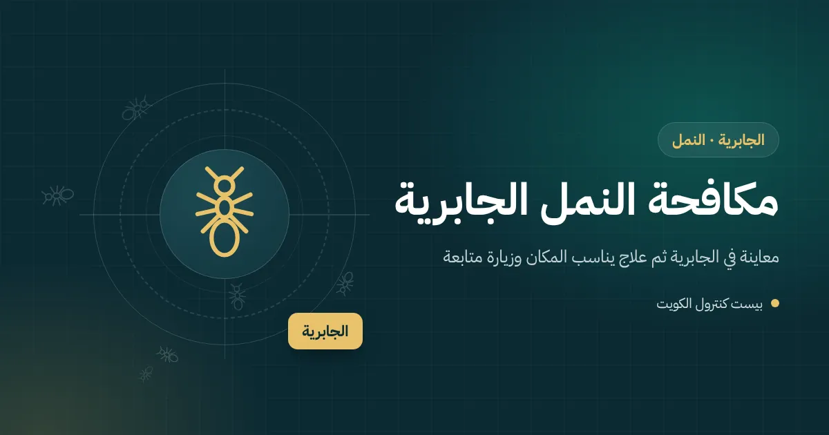 رسم توضيحي لأكوام تراب نمل بين بلاط حوش فيلا في الجابرية