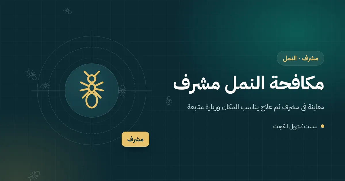 رسم توضيحي لبلاط حوش مرتفع بفعل جذور شجرة في مشرف ونمل يخرج من الفراغ تحته