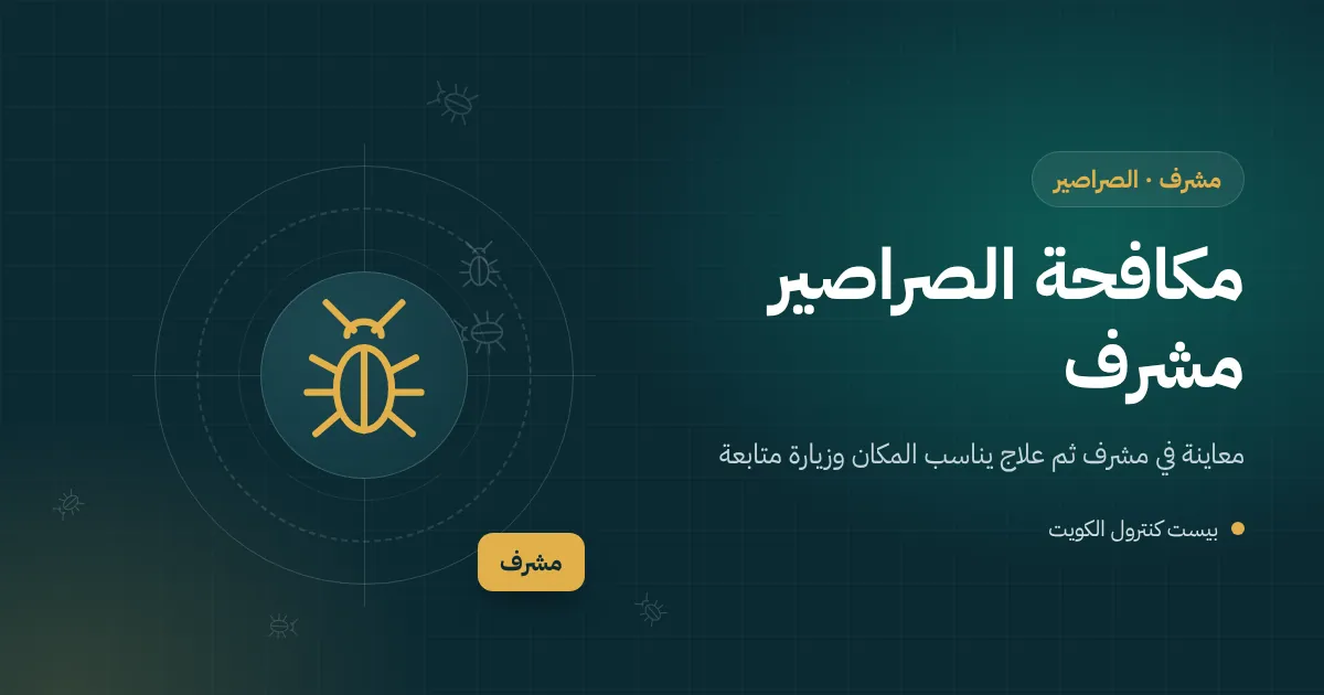 رسم توضيحي لمصرف حوش مغطى بأوراق الشجر في فيلا بمشرف وصرصور يخرج منه ليلًا