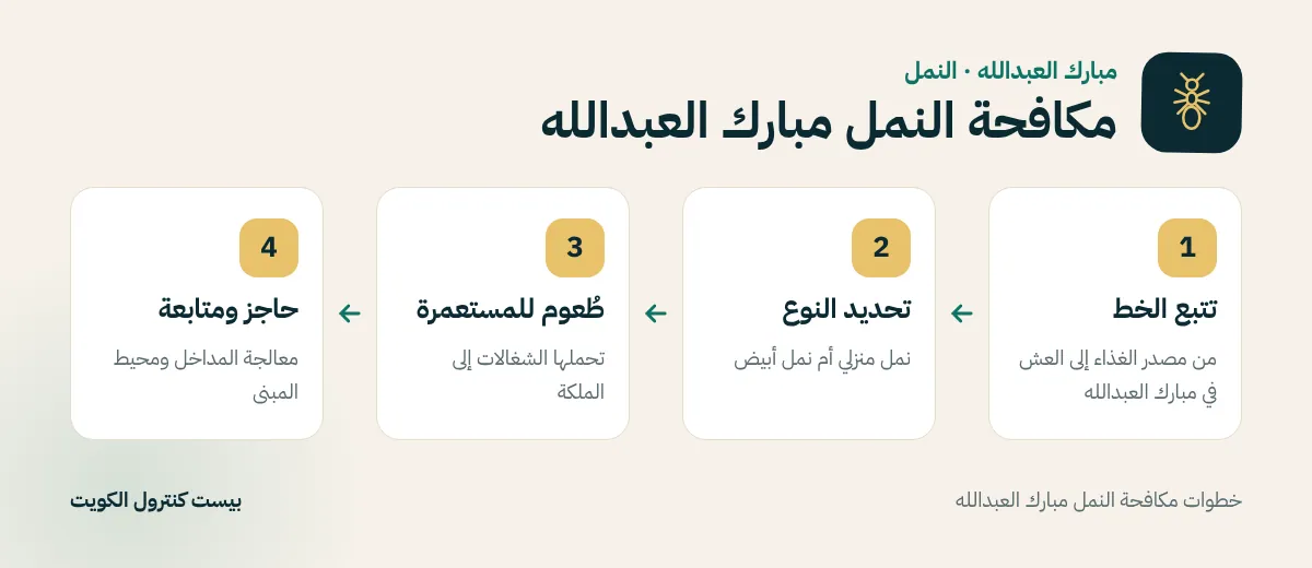 خطوات مكافحة النمل مبارك العبدالله