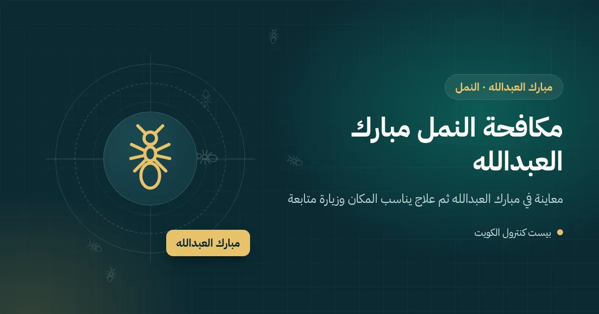 رسم توضيحي لنمل يخرج من فواصل بلاط حوش فيلا في مبارك العبدالله بجوار عريشة خشبية